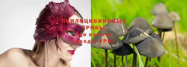 МДМА Алексеевка