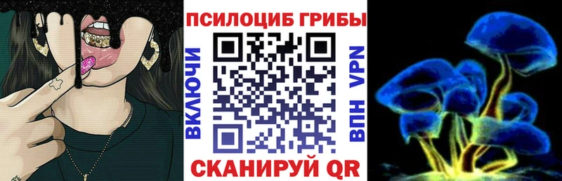 Галлюциногенные грибы Psilocybe  Игра 